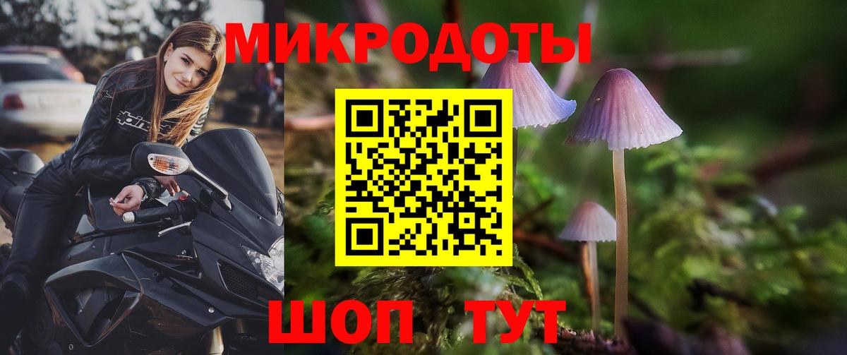 Псилоцибиновые грибы Psilocybine cubensis  Галлюциногенные грибы GOLDEN TEACHER  Вход с VPN  Джанкой 